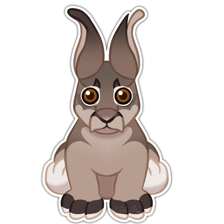 Shiriki NPC