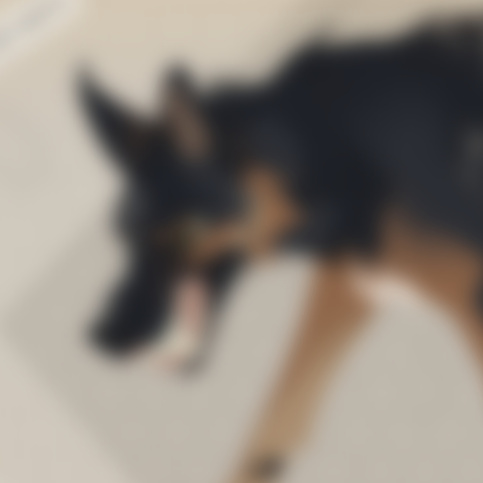 🔞VIEW REF @Furaffinity