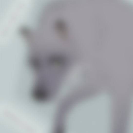 🔞VIEW REF @Furaffinity