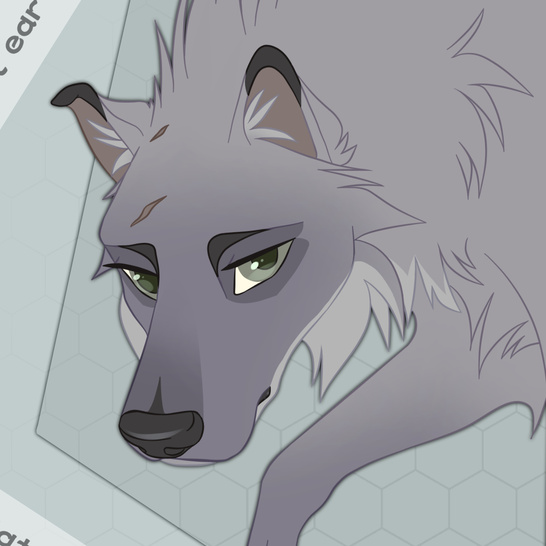 🔞VIEW REF @Furaffinity