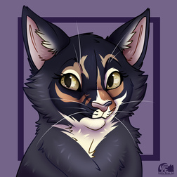 xblueashesx@FA