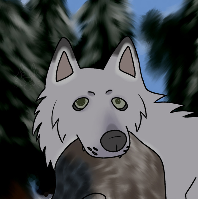 ⚠️PantherWaltz@TH