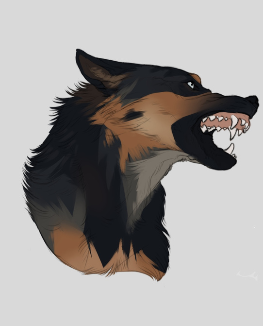 Noirr_art@TH mr---horror@DA