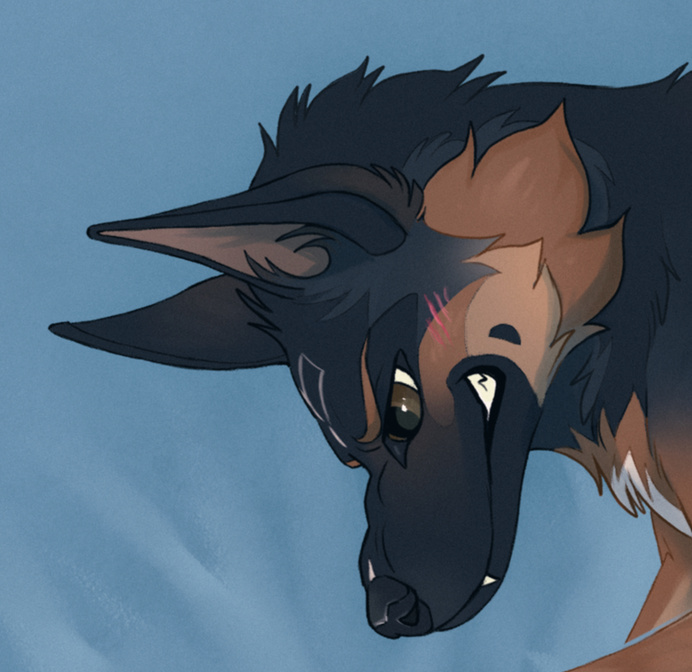 ⚠️polarbearanimation@FA